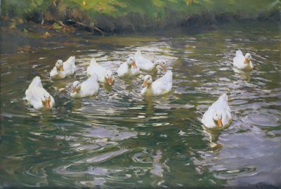 White Ducks on Water by Franz Grassel