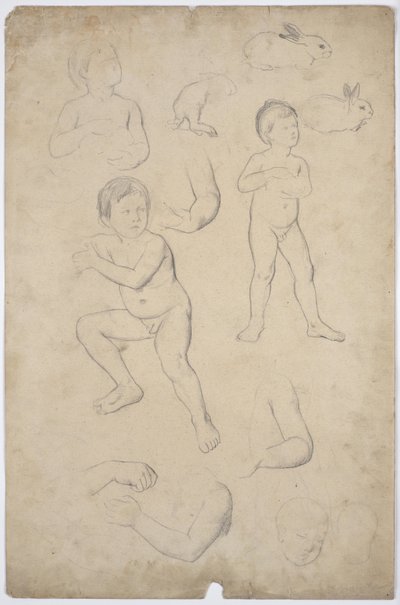 Studies of Child Nudes and Heads, 2 Hares by Franz von Matsch
