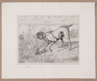 A Hunting Dog by Frede Aamodt