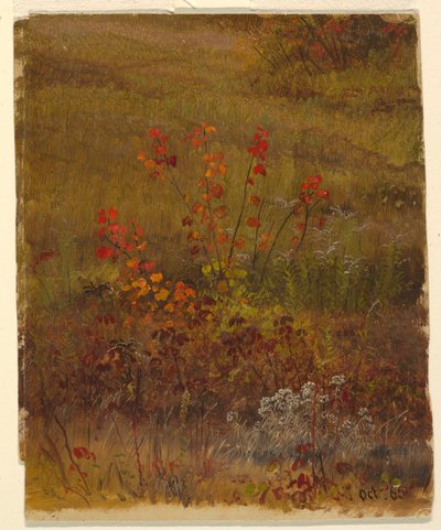 Botanical Studies by Frederic Edwin Church