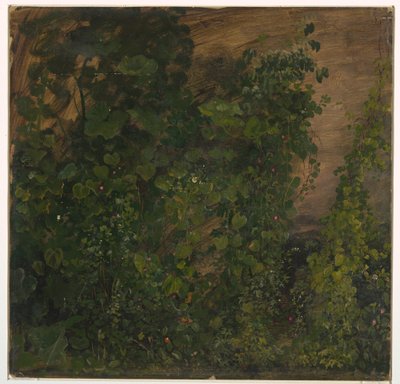 Drawing, Jungle Vegetation, 1865 by Frederic Edwin Church