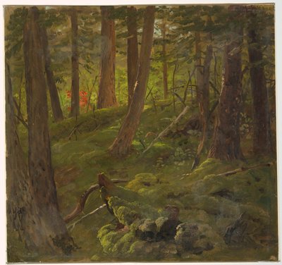 Forest in Jamaica by Frederic Edwin Church
