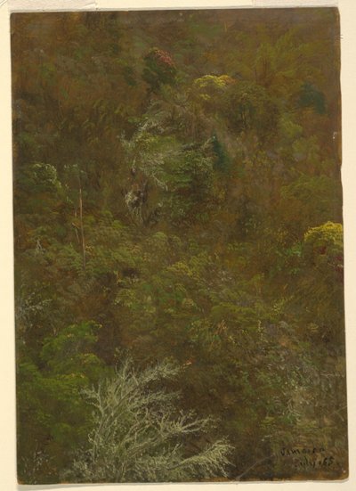 Hillside with Trees, Jamaica by Frederic Edwin Church