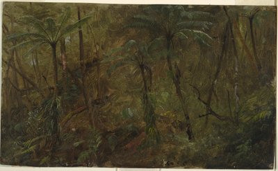 In the Woods, Jamaica by Frederic Edwin Church