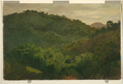 Landscape from Jamaica by Frederic Edwin Church