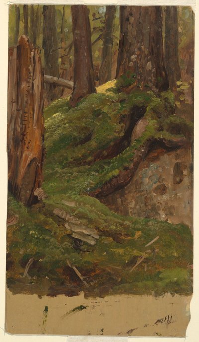 Maine Woods by Frederic Edwin Church
