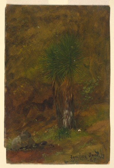 Palm Trees, Jamaica by Frederic Edwin Church