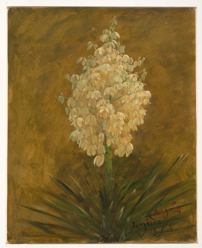 Penguin Plant by Frederic Edwin Church