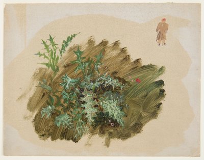 Plant Studies by Frederic Edwin Church