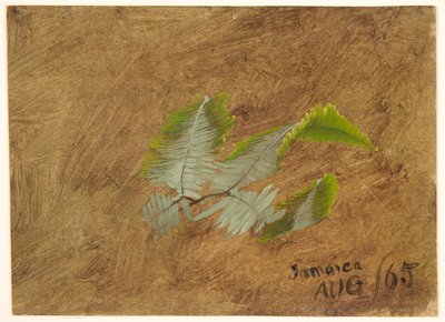 Study of Fern, Jamaica by Frederic Edwin Church