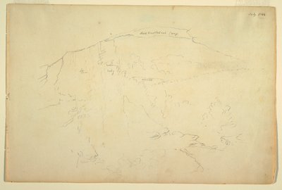 Wooded Hillside, Catskill Mountains by Frederic Edwin Church