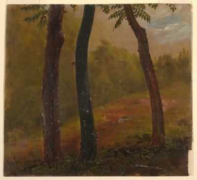 Woodland Scene, Jamaica by Frederic Edwin Church