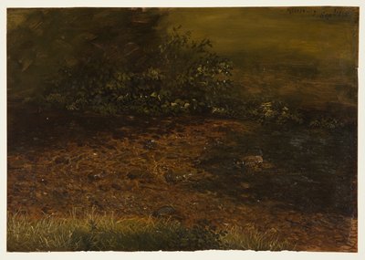 Woodland Stream in the Catskills by Frederic Edwin Church