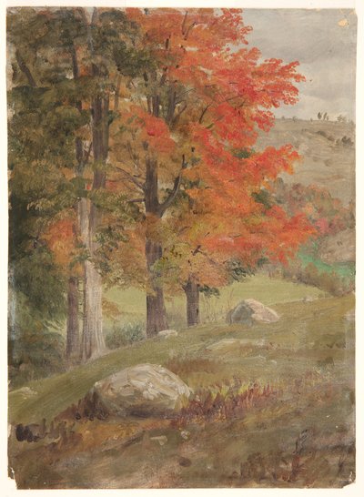 Woods in Autumn by Frederic Edwin Church