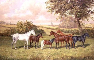 A Group of Ponies by Frederick Albert Clark