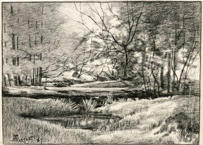 Pool in the Adirondacks by Frederick Eugene Bartlett