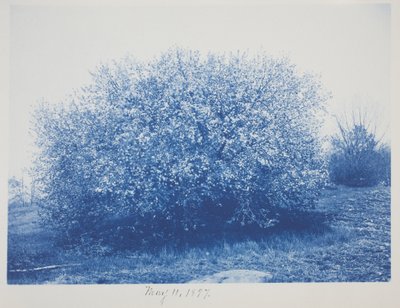 Untitled, May 11 by Frederick K. Coulson