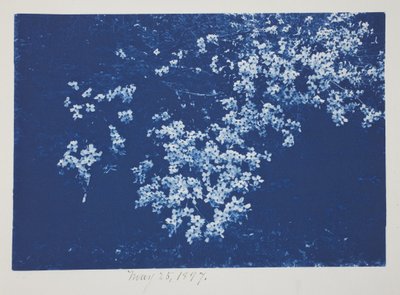 Untitled, May 25 by Frederick K. Coulson