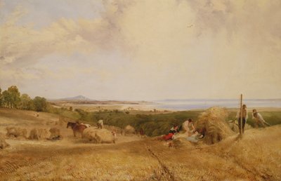 The Harvest Field, 1846 by Frederick Richard Lee