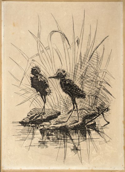 Two Birds by Frederick Stuart Church