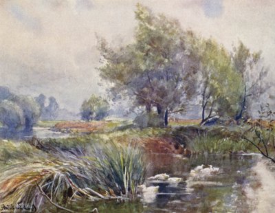 The Avon, below Stratford-on-Avon by Frederick William Newton Whitehead