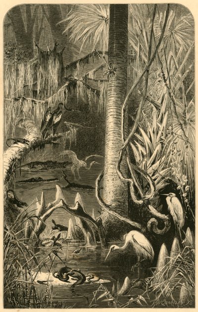 A Florida Swamp, 1872 by Frederick William Quartley