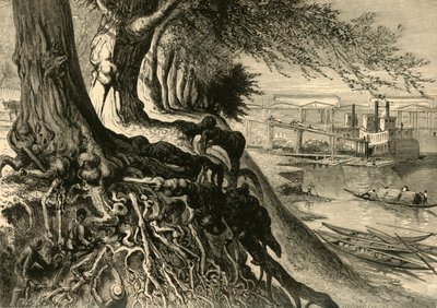 The Savannah, at Augusta by Frederick William Quartley