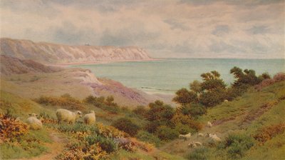 The Warren, Folkestone by Frederick Williamson