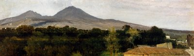 Surroundings of Vesuvius by Frederico Rossano