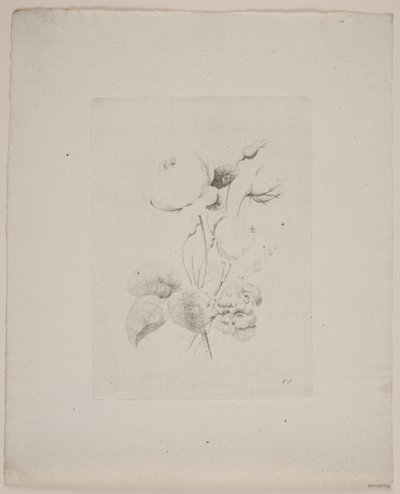 Flower Motif by Frederik Schepelern