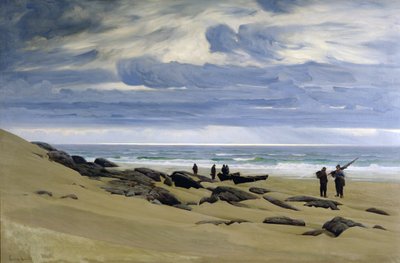 Grey Weather Day at Jaeren by Fredrik Kolstoe
