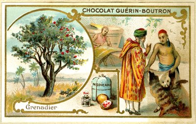 Advertising Chromolithography of Guérin Boutron Chocolates by French School