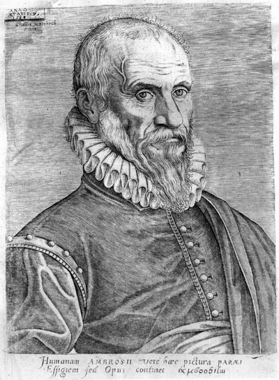 Ambroise Paré (1509-1590) by French School