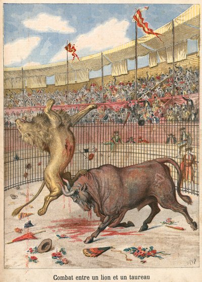 Battle between a lion and a bull by French School