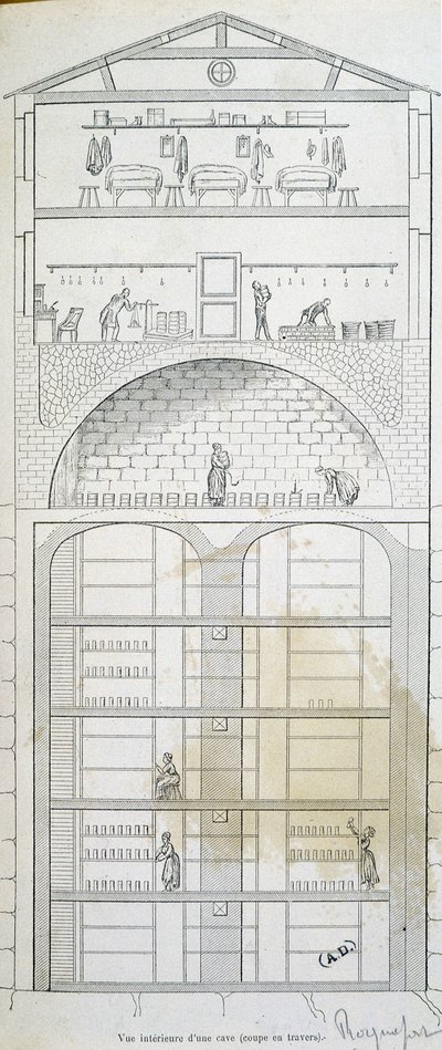 Cup of a cellar in Roquefort by French School