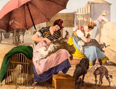Dog Groomers, 1820 by French School