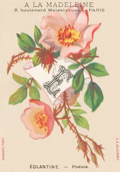 Eglantine - Poetry by French School