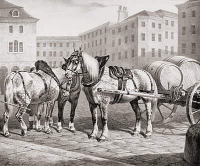 English Farm Horses by French School