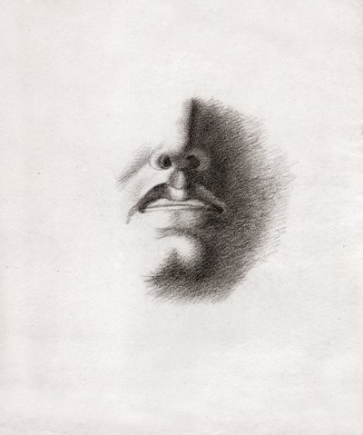 Face of a Man (drawing, circa 1830) by French School