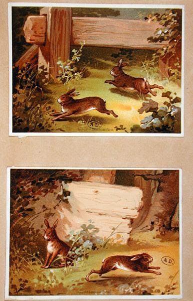 Hares and Rabbits, c.1890 by French School