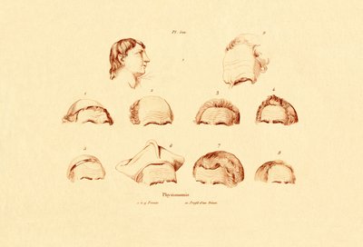 Heads by French School
