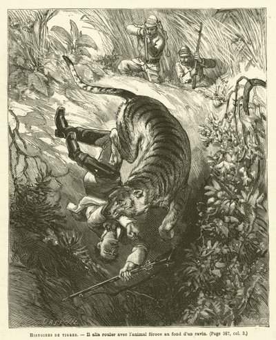 Tiger Stories (engraving) by French School