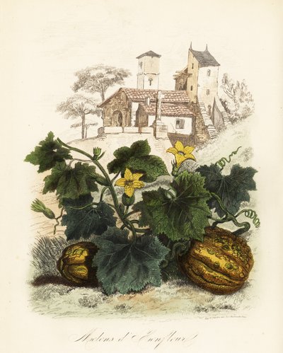 Honfleur Melon by French School