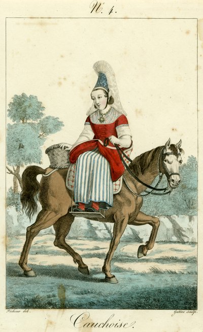 Illustration no. 4, Cauchoise costume by French School