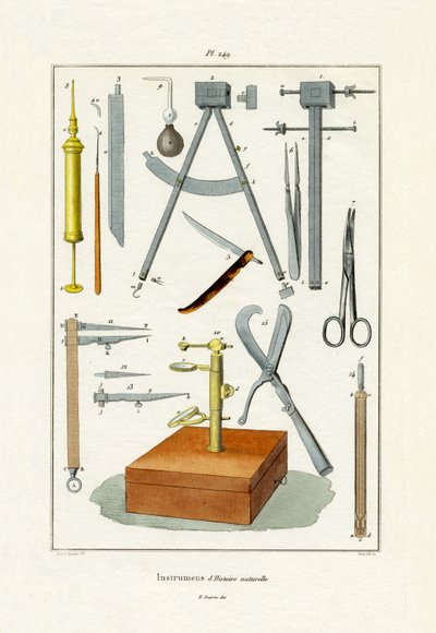 Instruments by French School