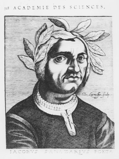 Jacopo Sannazaro by French School