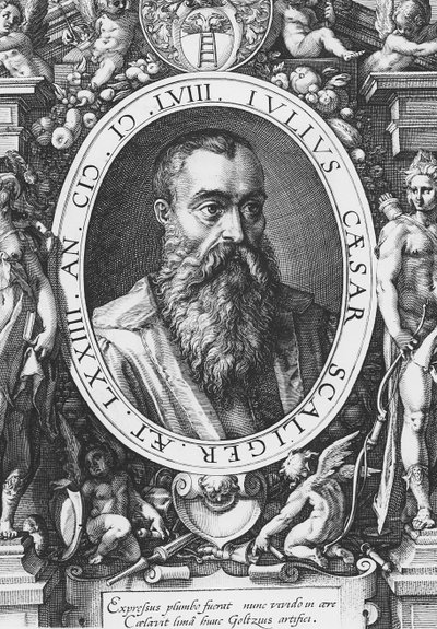 Julius Caesar Scaliger (engraving) by French School