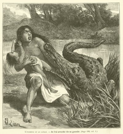 The Indian Woman and the Caiman by French School