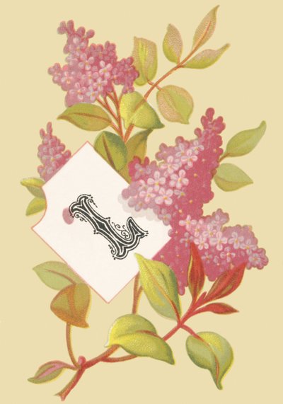 Lilac - Youth by French School