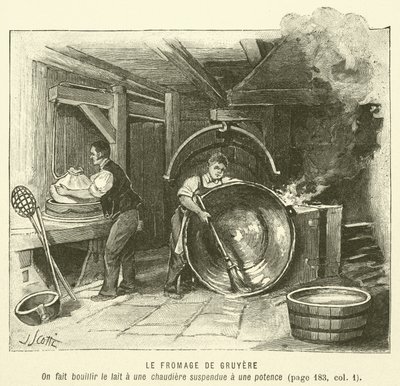 Gruyere Cheese (engraving) by French School